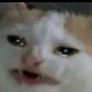 Meet your Posher, Jared